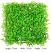 Bacopa Monary Mat Aquarium Background